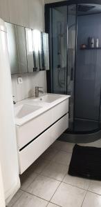 La salle de bains est pourvue d'un lavabo blanc et d'une douche. dans l'établissement L'Océnoa, à Mimizan-Plage