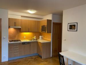 Kuchyň nebo kuchyňský kout v ubytování Apartment Florenc
