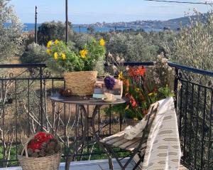 A garden outside Anastasios Olive Garden Apartments