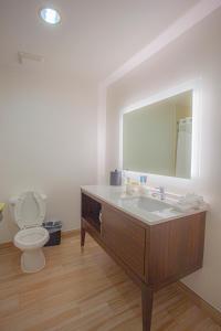 a bathroom with a sink and a toilet with a mirror at Holiday Inn & Suites Spring - The Woodlands in Spring