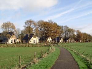 a dirt road leading through a field with houses at 't Sinnehûs in Sondel