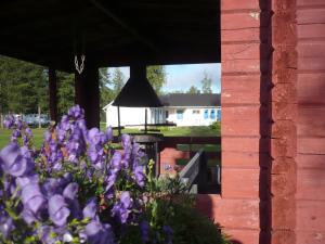 Zahrada ubytování Camping Tornio