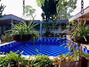 a swimming pool with potted plants in front of a building at Holland Lodge Paramaribo in Paramaribo