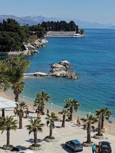 a beach with palm trees and a body of water at Apartment Džoni in Split