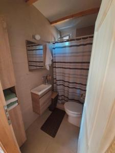 a small bathroom with a toilet and a sink at Mery Ada House in Ulcinj +19 photos
