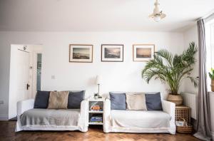 ein Wohnzimmer mit zwei weißen Stühlen und einer Pflanze in der Unterkunft Flat 1 Teneriffe in Lyme Regis