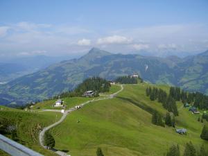 a green hill with a winding road on it at Appartement Lisa Schweiger in Kirchberg in Tirol