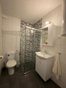 une salle de bains avec douche, toilettes et lavabo dans l'établissement Bele Staze Kopaonik s, à Brzeće
