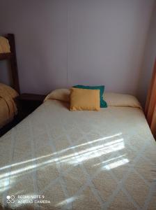 a bed with a pillow on it in a room at Calafate Viejo Hostel in El Calafate