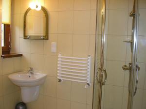 a bathroom with a sink and a shower at Willa Ewa in Poronin +59 photos