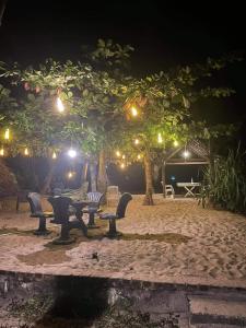 Taman di luar Simple Place