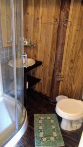 y baño de madera con aseo y ducha. en Holo Pousada Vale Encantado, en Rancho Queimado