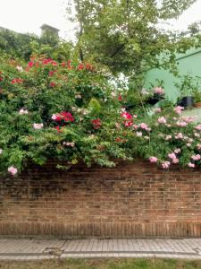 Fotografie z fotogalerie ubytování Jardin Secreto v destinaci Rosario