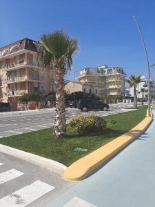 palma po stronie ulicy w obiekcie Sul MARE w mieście Civitanova Marche
