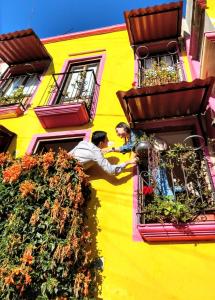 Gallery image of Posada "Jardin Huasteca Xilitla" in Xilitla