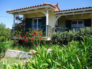 Zahrada ubytování Muses Villas