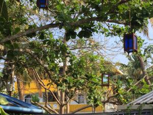 Hope Hostels, Varkala - Helipad外面的花园