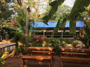 Hope Hostels, Varkala - Helipad外面的花园