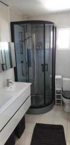 La salle de bains est pourvue d'une douche, d'un lavabo et de toilettes. dans l'établissement L'Océnoa, à Mimizan-Plage