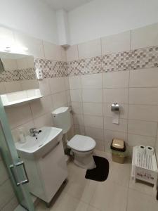 ein kleines Bad mit WC und Waschbecken in der Unterkunft Joós Apartman in Sárvár