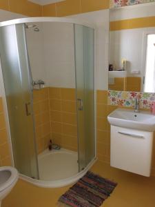 a bathroom with a shower and a toilet and a sink at Matějovec 109 & Ubytování Na statku in Český Rudolec