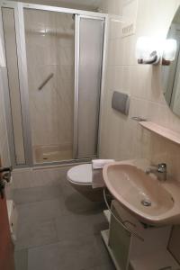 La salle de bains est pourvue d'une douche, de toilettes et d'un lavabo. dans l'établissement Gasthof Tiroler Hof, à Bad Feilnbach