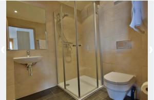 Ski Paradise SP 012 - MOUNTAIN apartment 8 pers衛浴