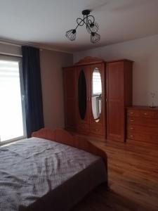 1 dormitorio con 1 cama, vestidor y ventana en Mieszkanie Nad Popradem INPIW03, en Piwniczna-Zdrój