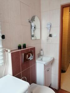 La salle de bains est pourvue de toilettes, d'un lavabo et d'un miroir. dans l'établissement Mieszkanie Nad Popradem INPIW03, à Piwniczna-Zdrój