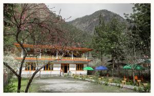 山景或在旅舍看到的山景
