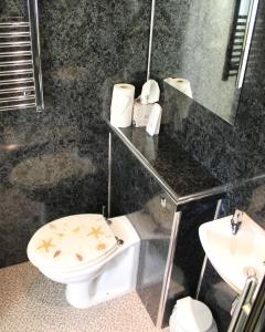 łazienka z toaletą i umywalką w obiekcie The Garden Room Westcott w mieście Westcott