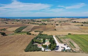 uma vista aérea de uma casa no meio de um campo em L'Ulivo Bianco em Montenero di Bisaccia