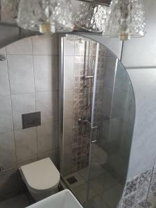 een badkamer met een toilet en een glazen douche bij Studio Manousos in Plakias