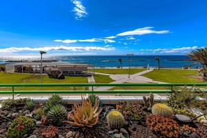 vista sulla spiaggia da un parco con cactus di Apartment in complex Altamira with direct ocean view ad Adeje