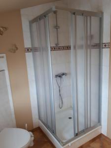 a shower stall in a bathroom with a toilet at " Haus zwischen den Meeren " in Strübbel +13 photos