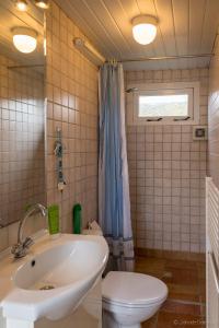 a bathroom with a sink and a toilet at Groot Marquette - Noord Holland aan uw voeten in Warmenhuizen