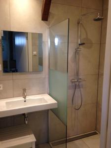 a bathroom with a sink and a shower at Vrijstaand Koetshuis Marron in Barsingerhorn