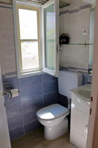 a bathroom with a toilet and a window and a sink at Sardinia MongaHouse in Tertenìa