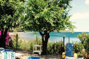 Gallery image of Sardinia MongaHouse in Tertenìa +28 photos