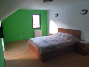 a bedroom with a bed with a green wall at Apartament GreenStar in Sinaia