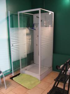 a shower in a room with a green wall at La Bergerie du festel in Saint-Riquier