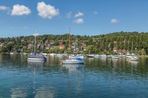 Un gruppo di barche sono ormeggiate nell'acqua. di Ferienwohnung Alina a Singen