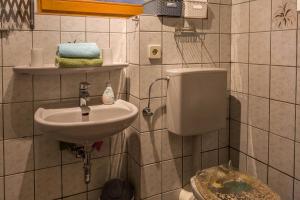 un bagno con lavandino e WC di Ferienwohnung Alina a Singen Altre 20 foto