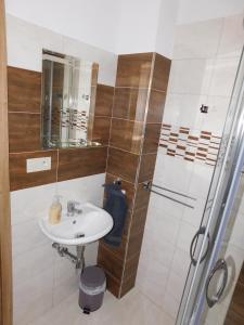 uma casa de banho com um lavatório e um chuveiro em Ubytovanie u Albína em Betlanovce
