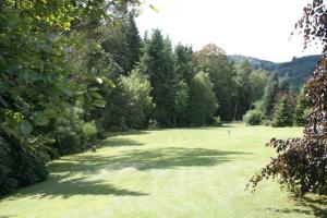 ein großes Grasfeld mit Bäumen im Hintergrund in der Unterkunft Fewo Röspe in Erndtebrück