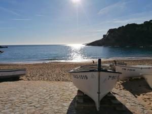 two boats sitting on a beach near the water at Hotel Tamariu in Tamariu