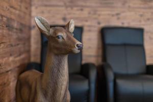 Zdjęcie z galerii obiektu Chalet Hirsch für 4 Personen w mieście Wald im Pinzgau +22 zdjęcia