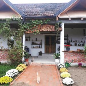 a house with two cats standing outside of it at Amanet House Zasavica in Zasavica Druga