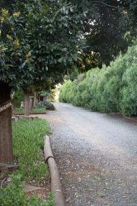 a dirt road with trees and bushes on it at Bel Tramonto in Bloemfontein