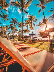 una fila de hamacas en una playa con palmeras en Maion Hotel e Boutique, en Praia do Espelho